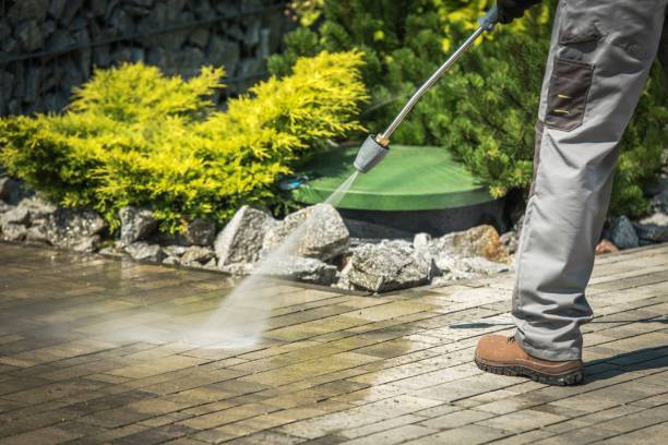 Best Pre-Holiday Cleaning  in North Braddock, PA