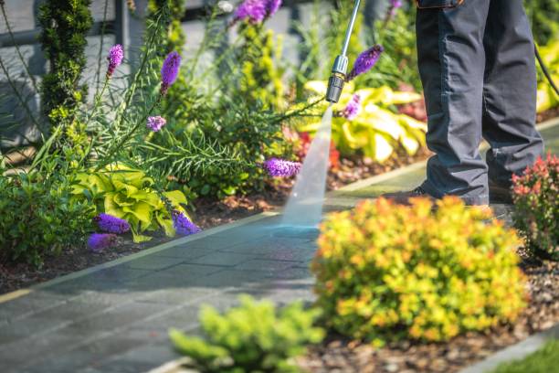 Reliable North Braddock, PA Pressure Washing Solutions