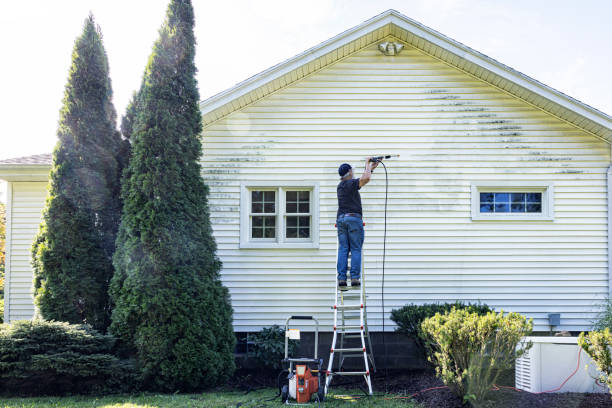 Best Driveway Pressure Washing  in North Braddock, PA